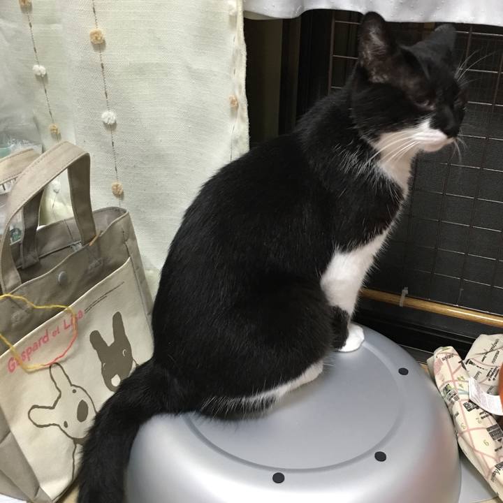 1aaa0cd6 b097 442e a9ac 3ac9e846e3f3