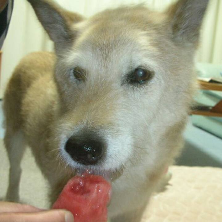 1aaa16f2 cf3b 4208 a6d5 3c1392bd9b8a