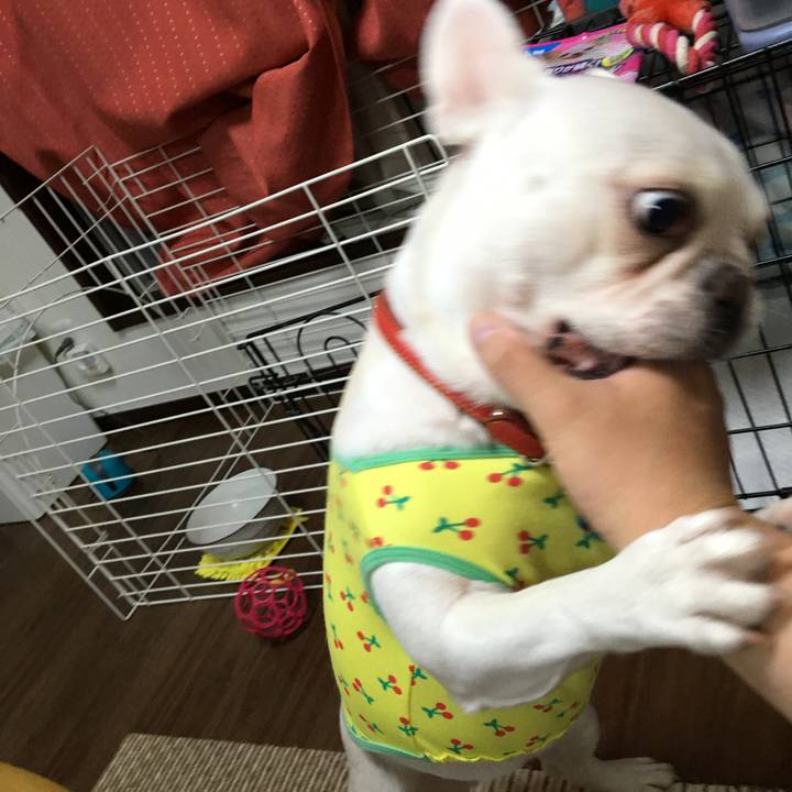 1aaaa799 6930 4cff 9036 b9e4f166a741