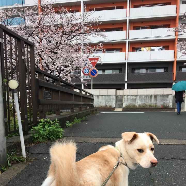 1aab7133 da92 4c90 836d 6007de0e3797