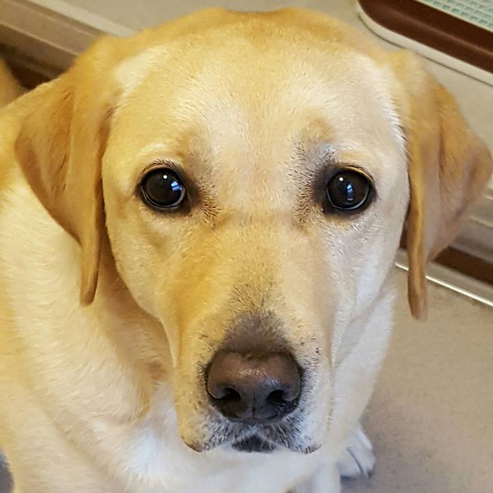 1aabb6f0 ef6b 44e1 bc1f 4c1f200f608e