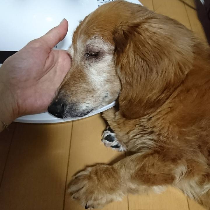 1aabf396 20f2 487a b879 fd347a703786