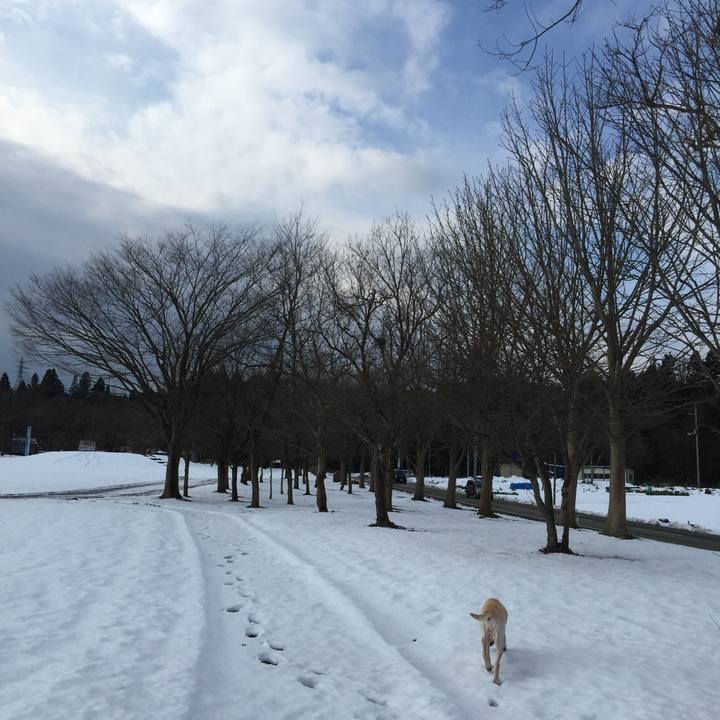 1aacdf5e a248 4161 8838 c36702857bb7