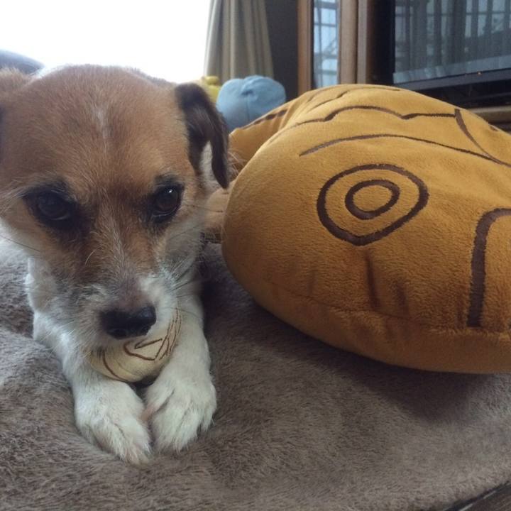 1aad6c0d 6035 474b a1a9 ec5bbffd30cf