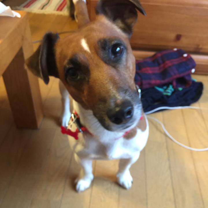 1aae5a98 b934 4003 99a9 a9ed46f4a8d7