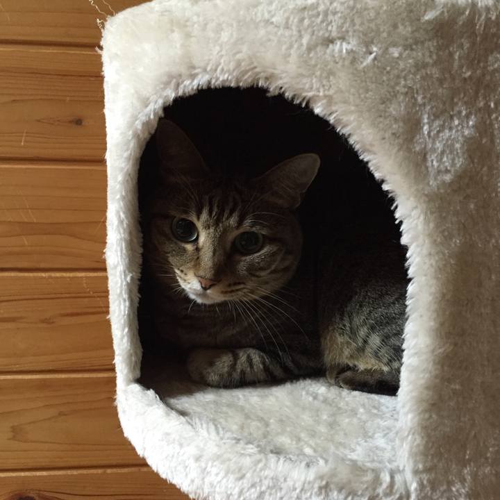 1aaeadc9 61e1 47ac a17f 52e198249dc6