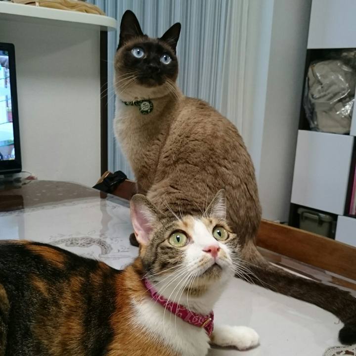 1aaf758d 3d0b 40a0 8fef c0bffae481e0