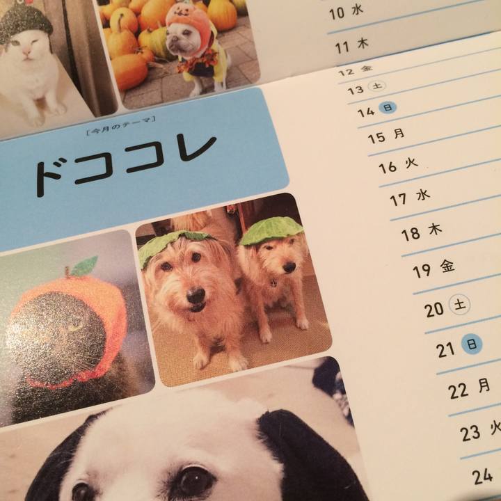 1aaf77a4 9a38 4716 8451 bffe84351809