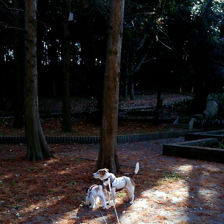 1aafa8c6 9362 4705 a2c7 6c782f3d6899