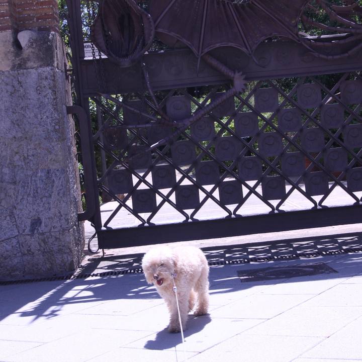 1ab011cf c132 4a06 8b6c 27f45831bbfd