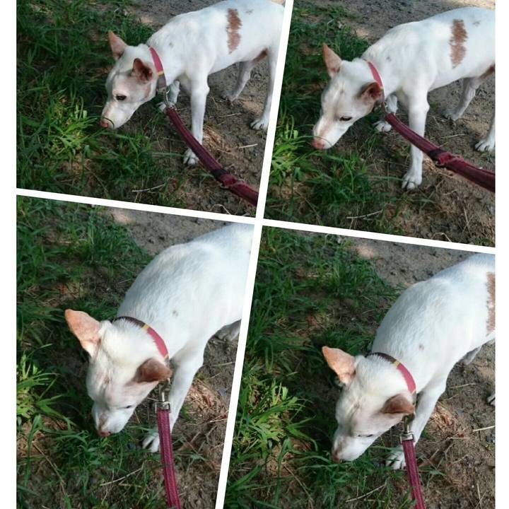 1ab065b9 7d3a 4269 a74d 202f8188a6bf