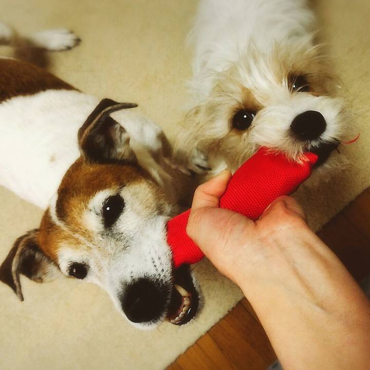 1ab07e91 0195 4227 99f8 86c9e02ee7a0