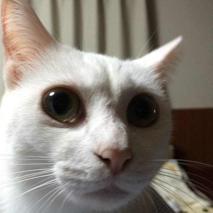 1ab07fa5 d0a7 40d2 9763 c0fc34673d8f