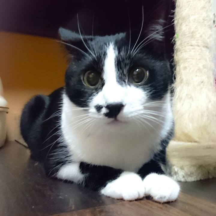 1ab0a0b3 b77c 4024 8542 8c4aef29d901