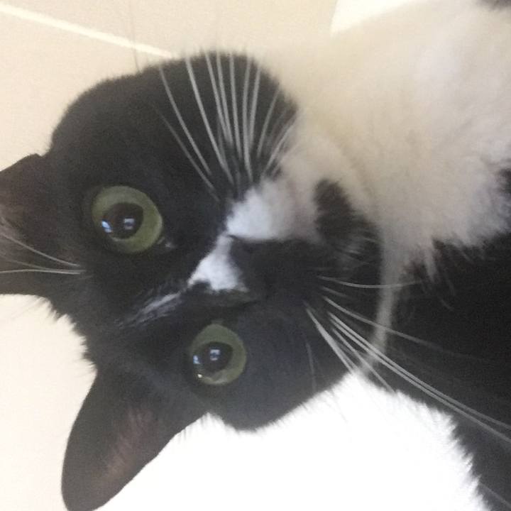 1ab247b9 fa2b 483a 83ef 3caa48c640a3