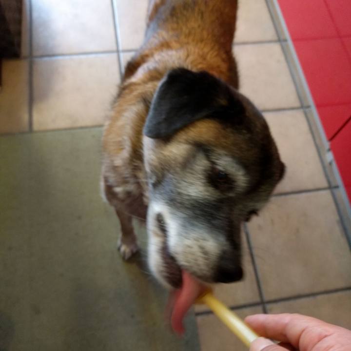 1ab27b2a c3a5 4fd6 9185 848f7345d18b