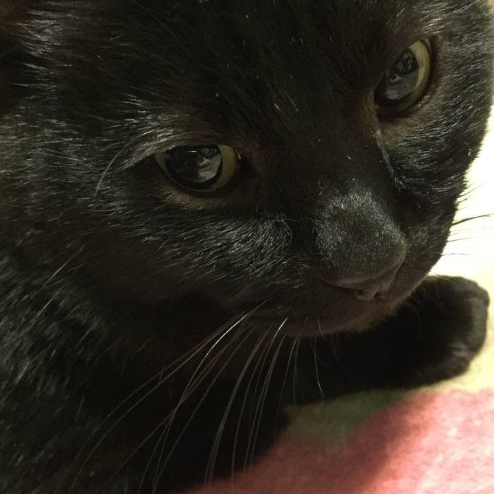 1ab2f506 eee6 480d 84e3 7a03e6cdc231