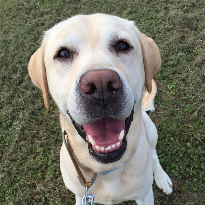 1ab329a2 c3dd 442b 8489 3657a9cbbe25