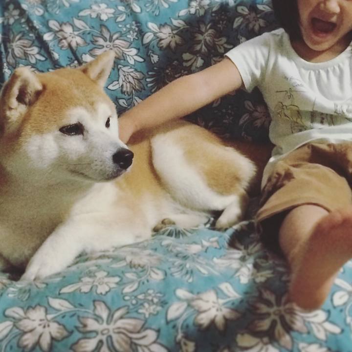 1ab37c98 2f09 489f bbaa fc042ee3584d