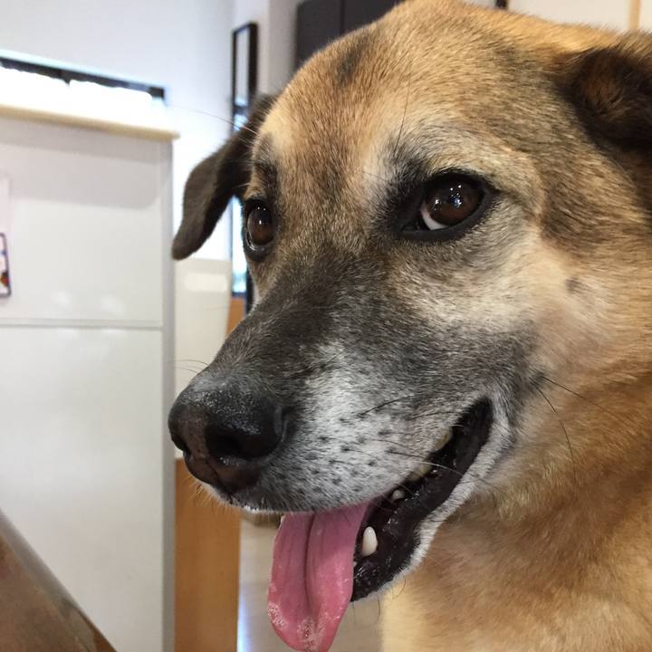 1ab38019 b21c 4341 88f5 a409121406fe