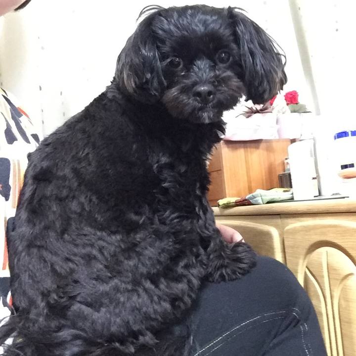 1ab387bb e4d1 422e 9930 5743fd37d81d