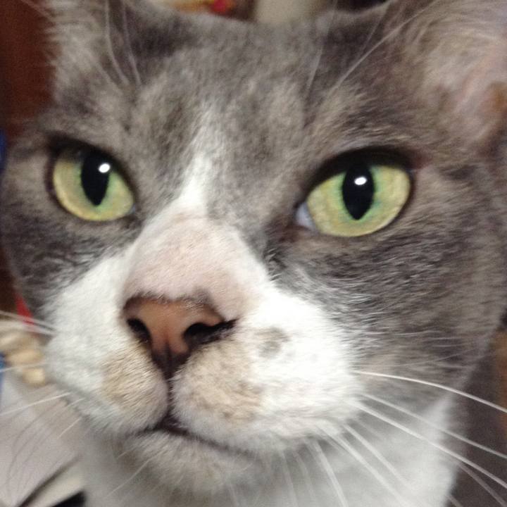 1ab38c7d 7b58 4b0d 875c 1a4d87aadb09