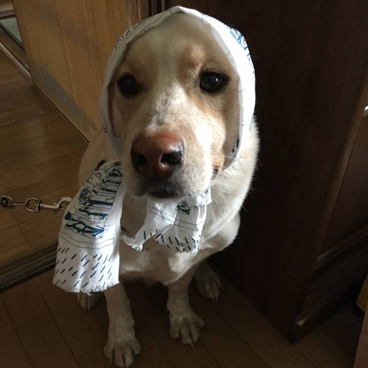 1ab39e54 6e5a 4675 a613 0edfcdbd2c06