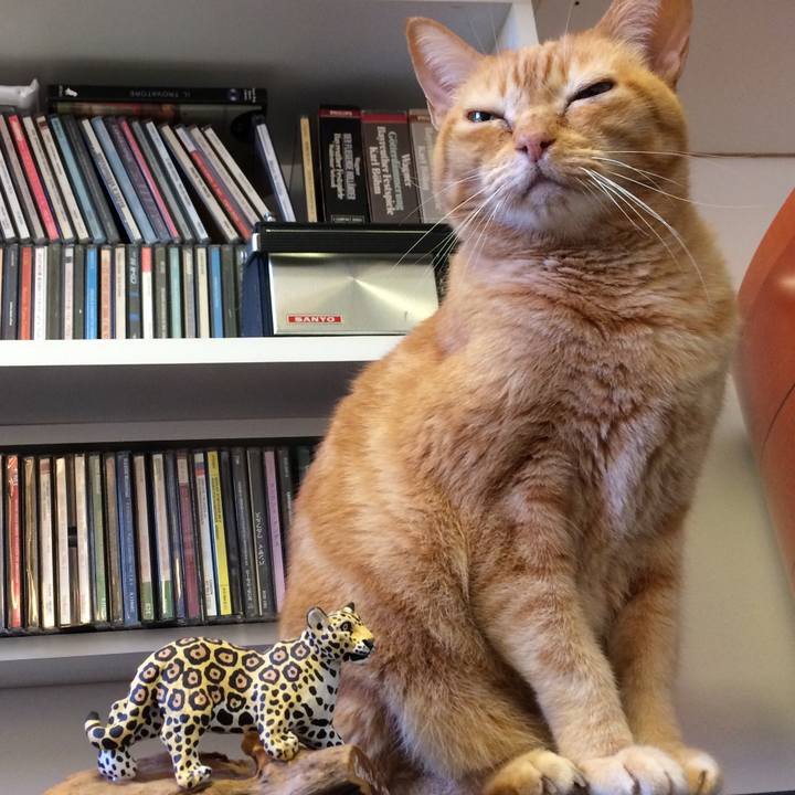 1ab3a409 884a 457d 86fc b0abf85a86c8