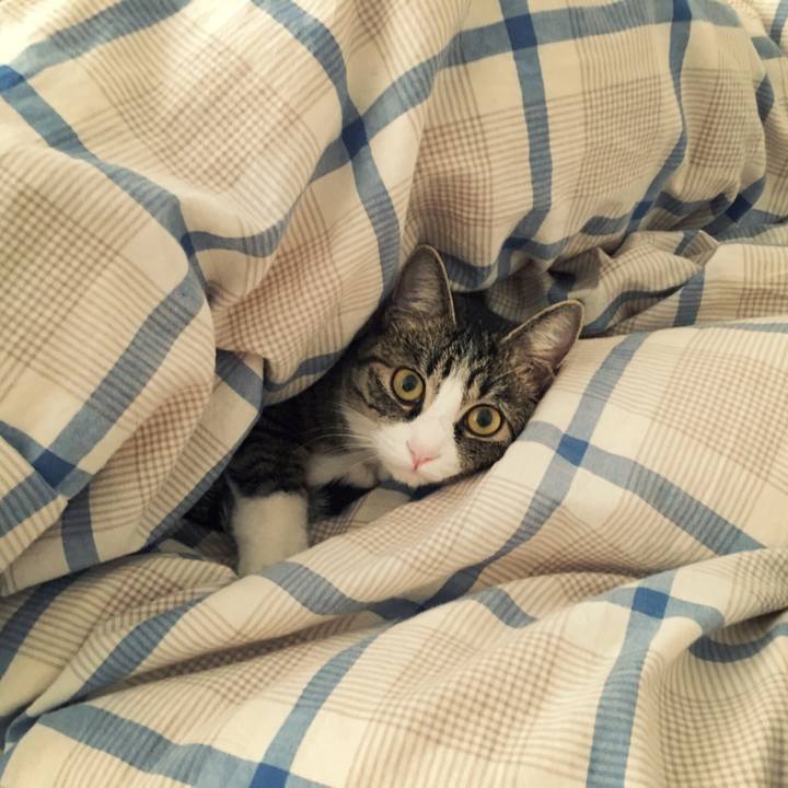 1ab3e8bc 2a50 402f a265 e0d771c7e699