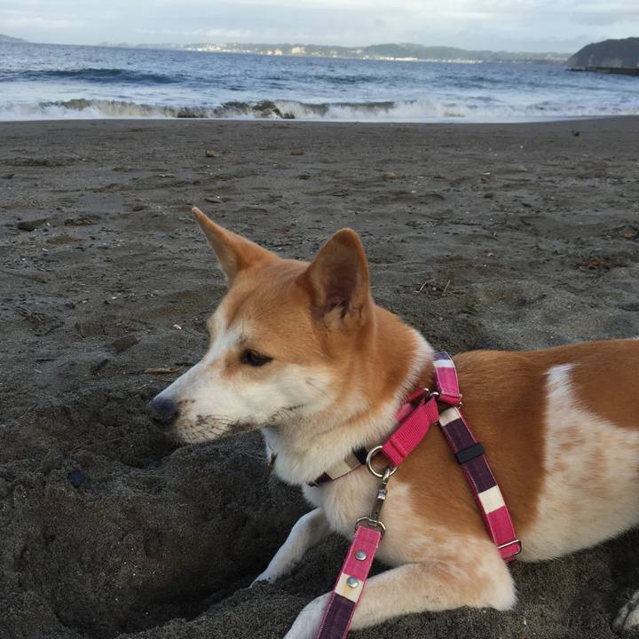 1ab4aec9 5510 4c27 9556 7605add3cfb5