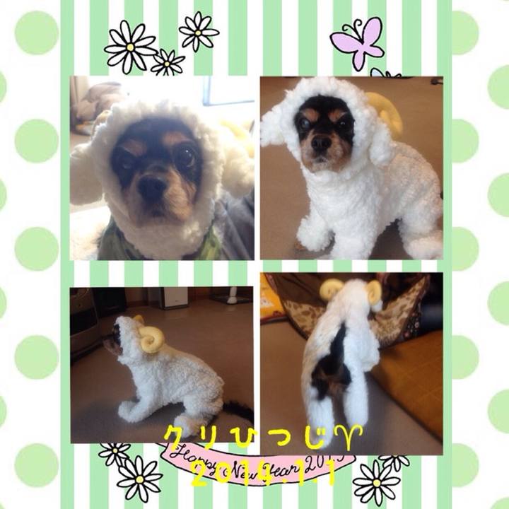 1ab4da7a 52c6 4ce0 9a95 f004b0b37239