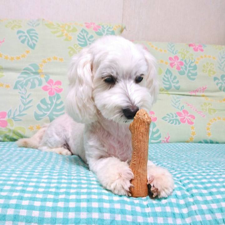 1ab549ce 089e 4d69 8dc9 f789a6bd382b