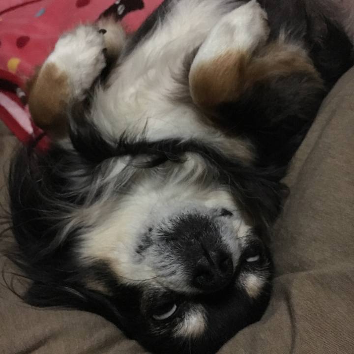 1ab66857 8dd7 45a3 96c7 8a6b445f898e