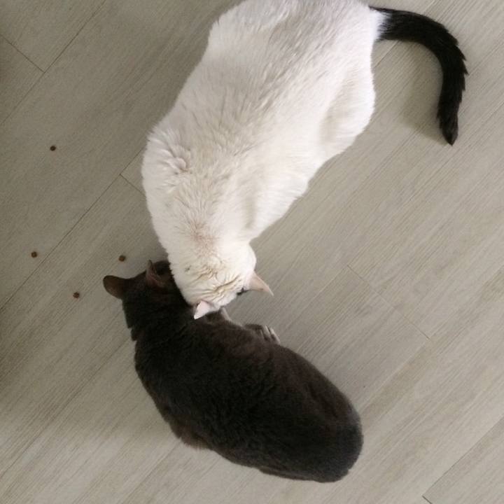 1ab6c206 793e 43b8 ae5d f4abfbaa5304