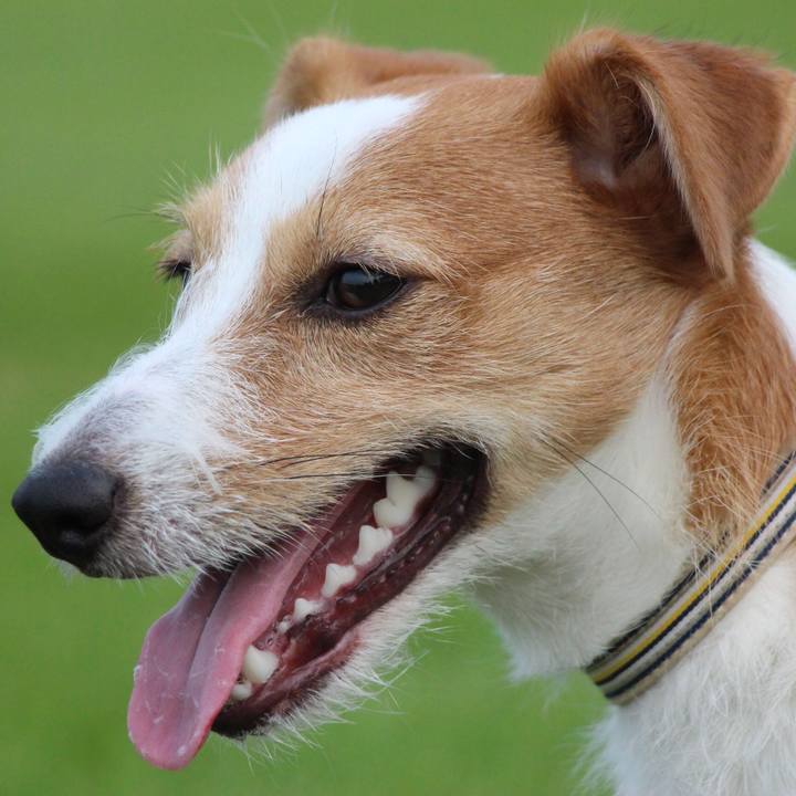 1ab6c323 2fbe 4c17 bdd4 568853dfb940