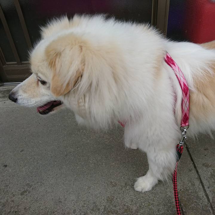 1ab6d5e2 e463 463e 8616 608a86846a98