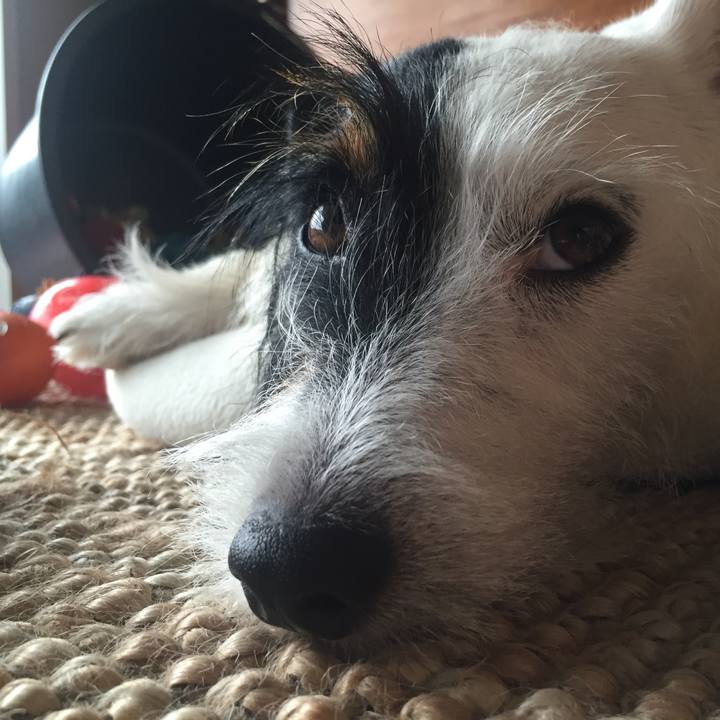 1ab727e4 9a2e 44b3 aee9 effb5b41c423