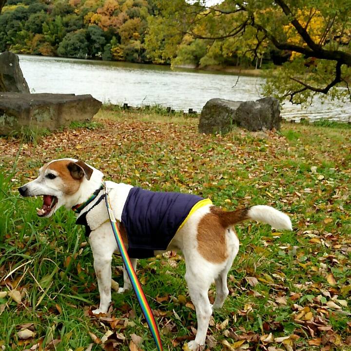 1ab79709 d442 4d85 91aa 3cb8dfaecadb