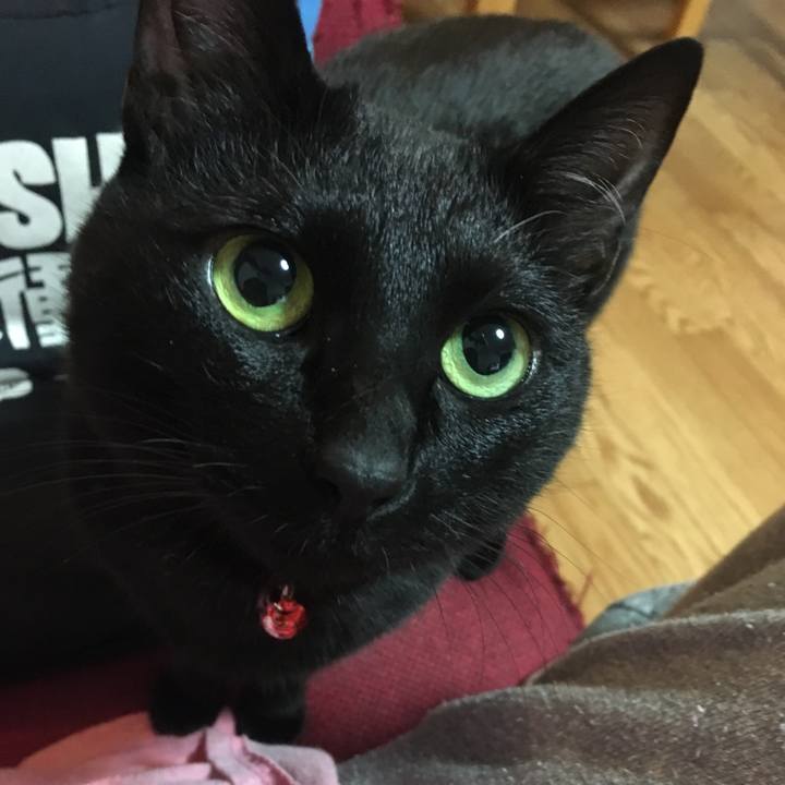 1ab7c290 90d9 4731 90d1 fd24425316cb