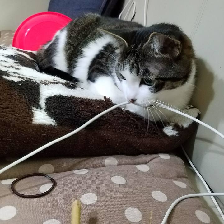 1ab7d33e b030 4b4d b49c 5bfcb110c388