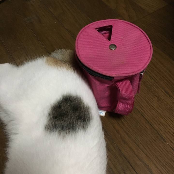 1ab7eee1 9a4d 4090 a0d3 775e6c777c05