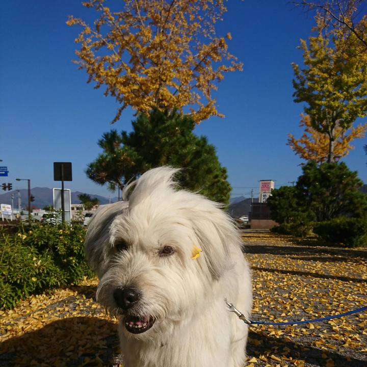 1ab8348a a960 41dc ae6b 13b3b1f0eef4