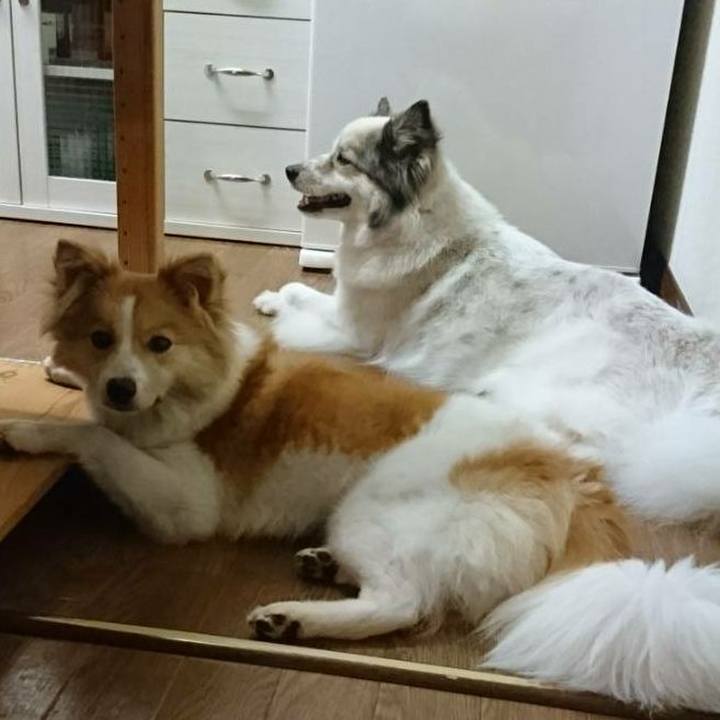 1ab8871b da37 4580 95c6 e764b9fe2dee