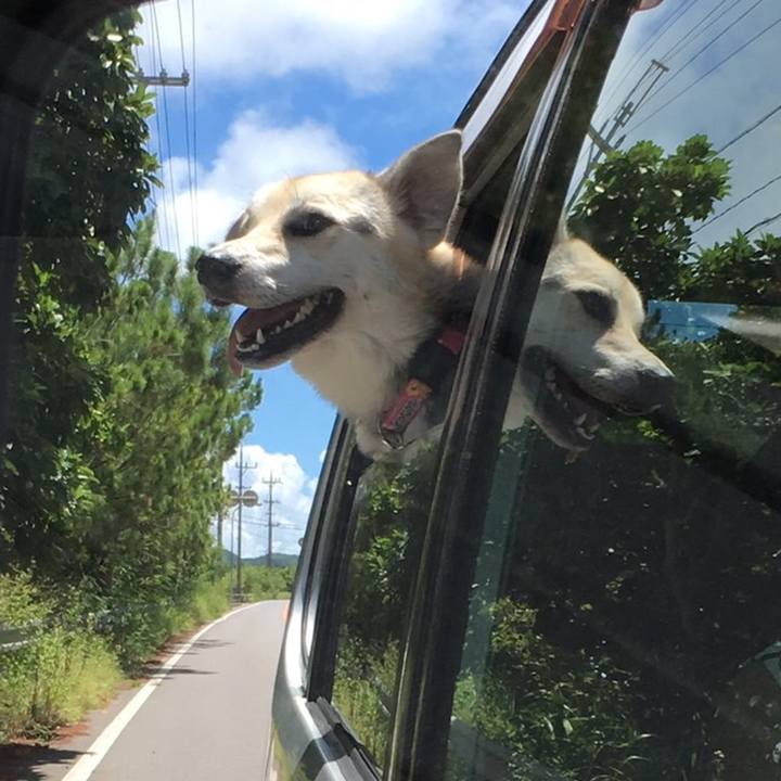 1ab8eb7a 12f8 438c a842 e23f7bdc8e7f