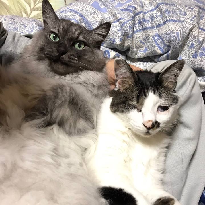 1ab8f845 6d56 4711 9171 74fa61bdc086