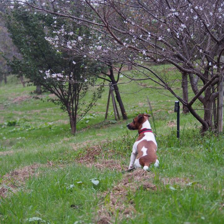 1ab96ec5 b53b 4f6b 80f3 65fc42c72812