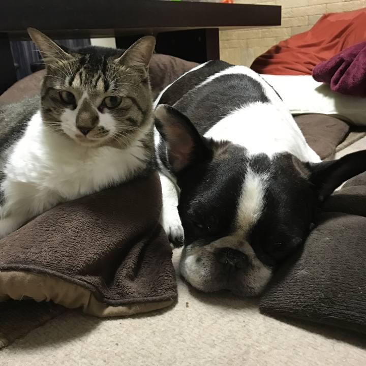 1ab9d4b3 469d 4827 983b d1f8997c89f2