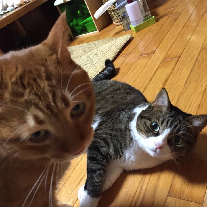 1aba1141 2443 4c02 9bfd d055213bb717