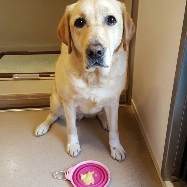 1abb21bf 1070 4ce8 bd32 3ffc13f642c6