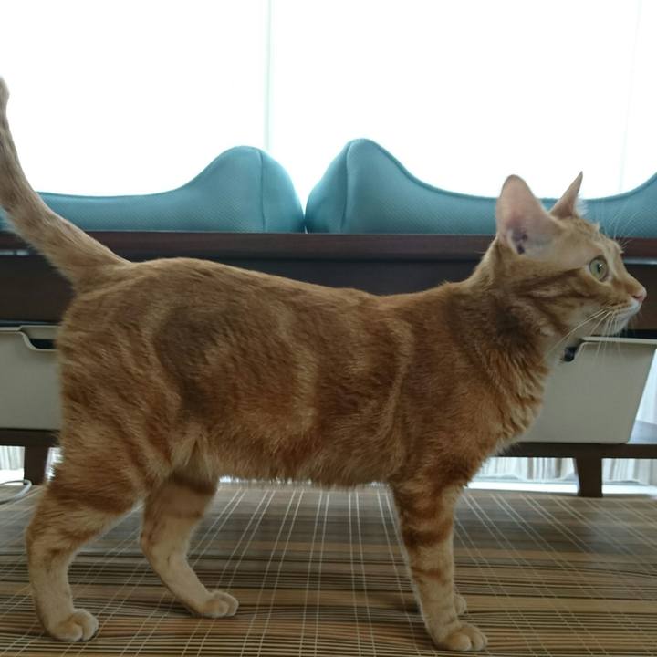 1abb98fc 9900 4584 9ec2 7620eedc9c47